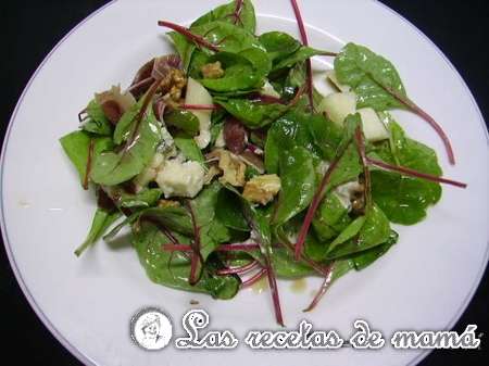 Ensalada de acelgas rojas