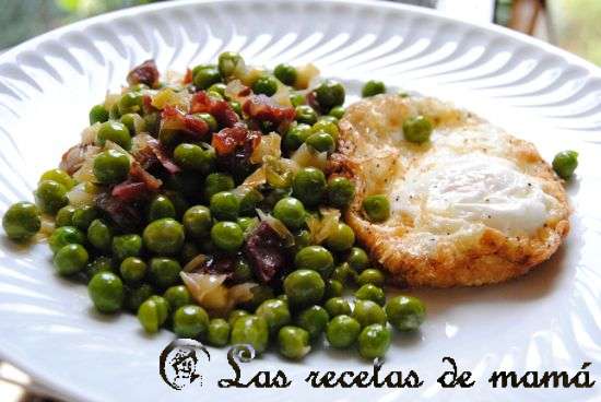 VIDEO JAMON video jamon: