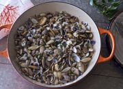 Coquinas