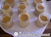 Cuajada de galleta
