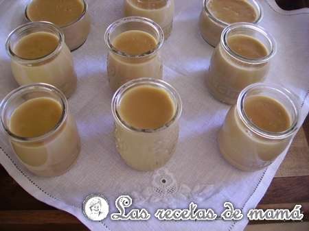 Cuajada de galleta