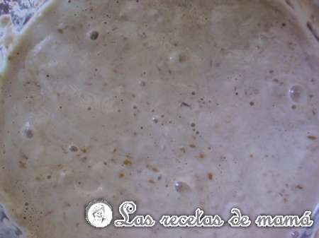 Masa madre