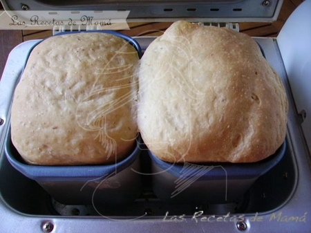 Pan de Leche Hokkaido