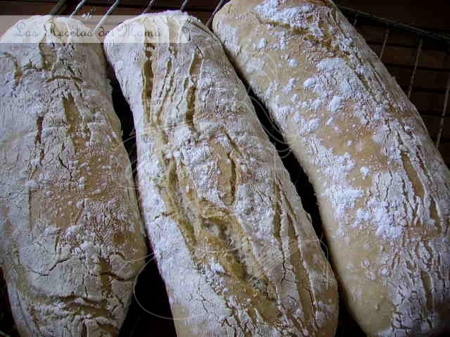 Chapata – Ciabatta