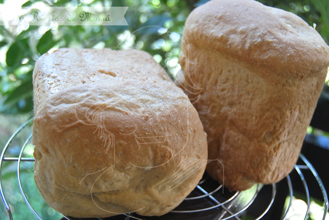 Pan con harina de maíz