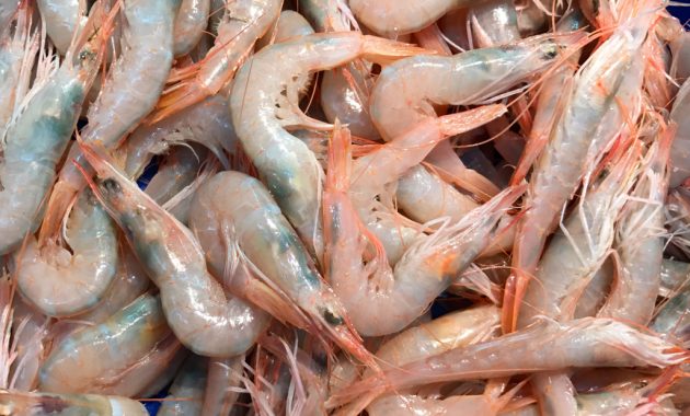 Gamba blanca de Huelva